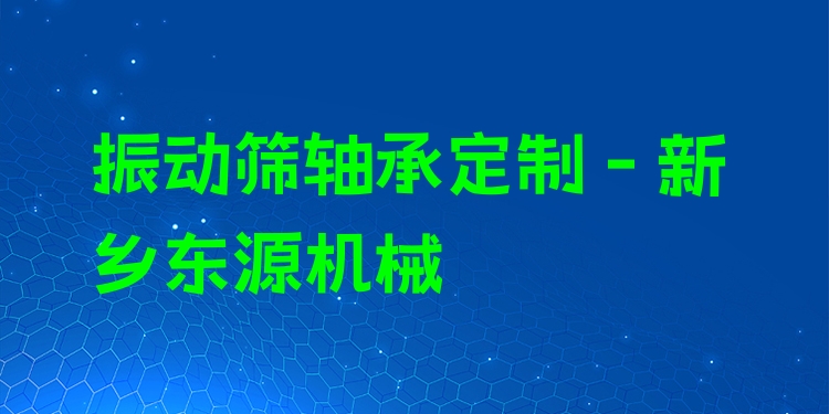 振動(dòng)篩軸承定制 - 新鄉(xiāng)東源機(jī)械